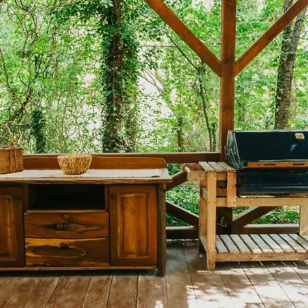 Forest House