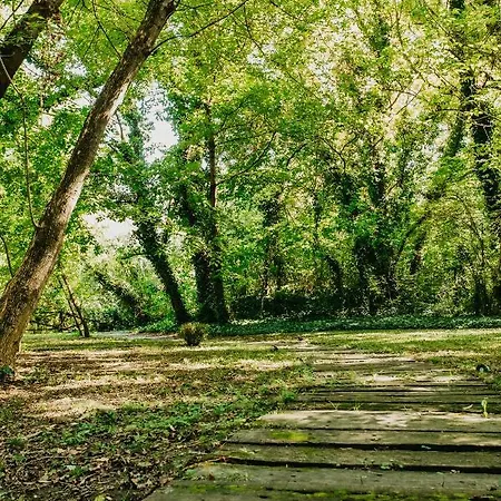 Prázdninový dům Forest House *