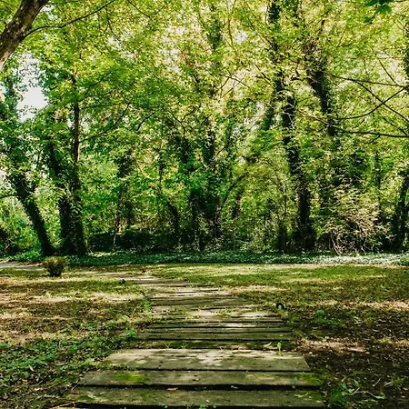 Forest House Prázdninový dům *