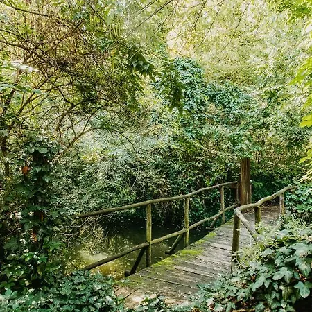 Forest House Holiday home Palic