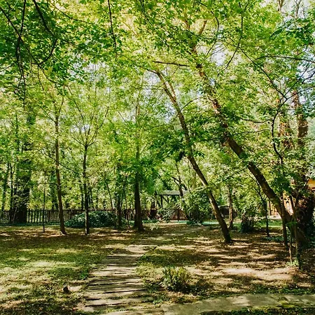 Forest House