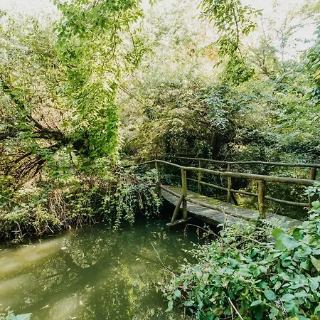 Prázdninový dům Forest House