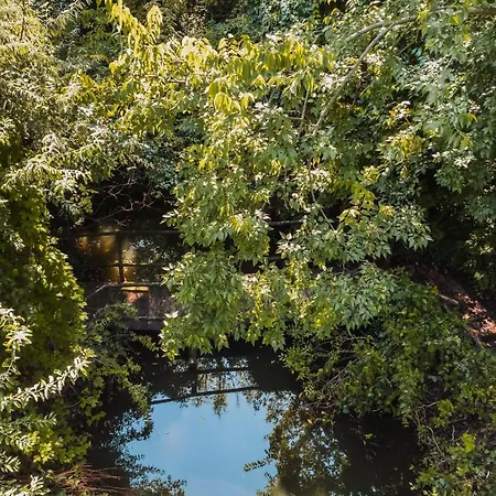 Prázdninový dům Forest House Palić