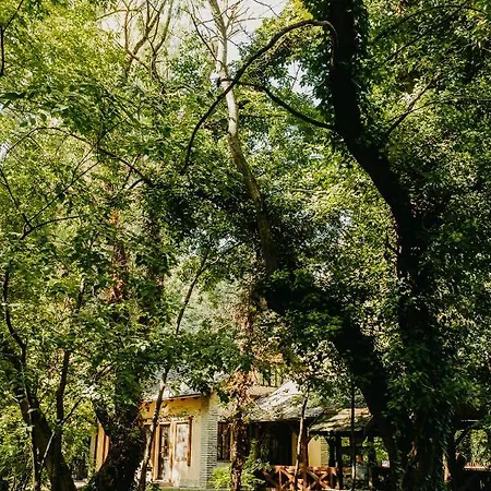 Prázdninový dům Forest House