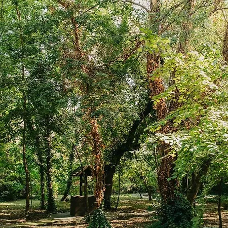 Forest House Prázdninový dům