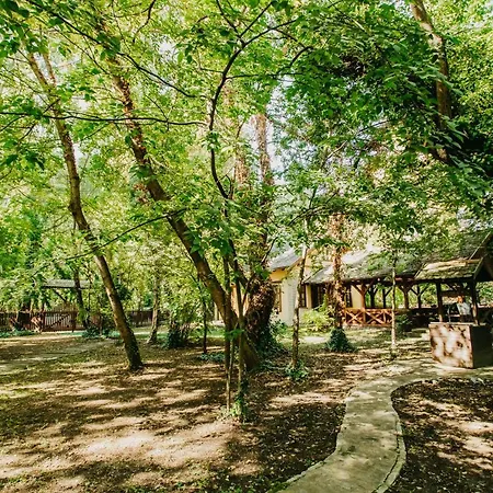 別荘 Forest House Palić