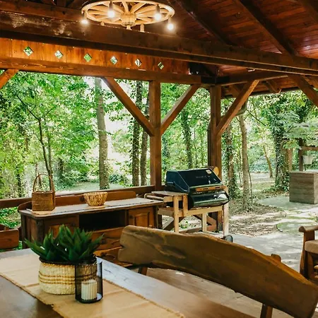 Forest House